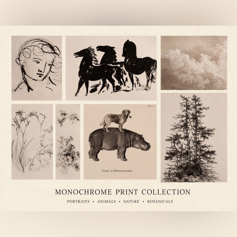 Vintage Print Art Collection.        Set of 7